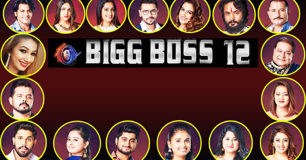 Contestant of Bigg Boss 12